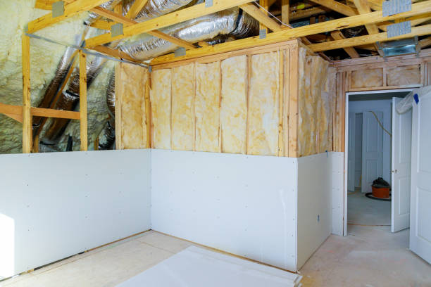 Best Geographic-Specific Insulation Services in USA